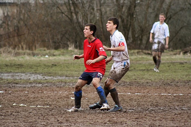 鹰球队在阵 鹰球队在阵