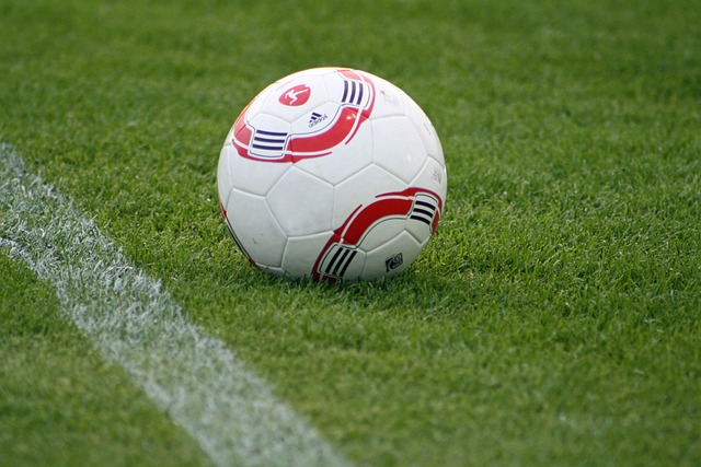 中超-武磊头槌制胜 海港客场1-0泰山迎15连胜.